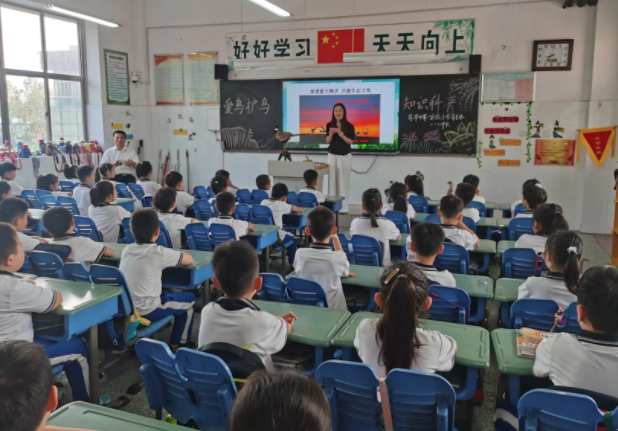 教育質量全面進階讓優質教育的陽光照亮每一個孩子的成長之路