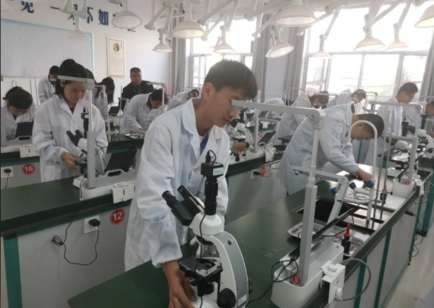 優(yōu)化評(píng)價(jià)機(jī)制突出在教師教學(xué)評(píng)價(jià)中跨學(xué)科教學(xué)成果的權(quán)重 優(yōu)化評(píng)價(jià)機(jī)制突出在教師教學(xué)評(píng)價(jià)中跨學(xué)科教學(xué)成果的權(quán)重