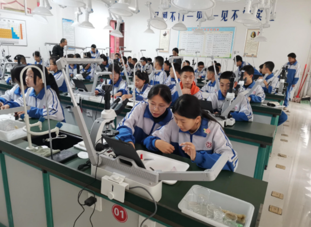 教育的應然關聯實然疏離構成了當前教育改革的核心張力