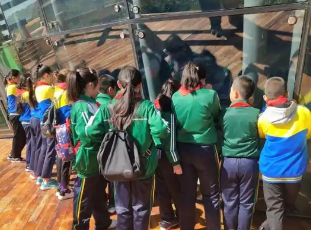 讓草原學(xué)子在家門口享受優(yōu)質(zhì)科創(chuàng)教育以科技之力打破地域壁壘