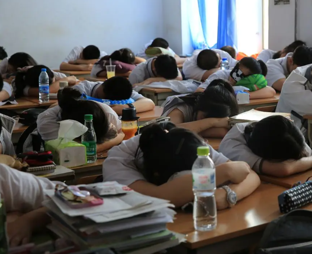 不同學段的特色設計出既契合學生認知又激起其愛好的教育內容